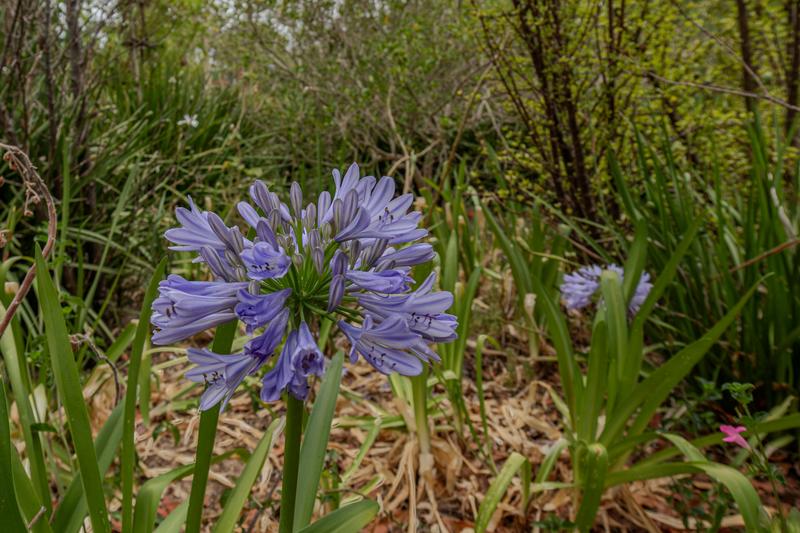 0 Bedroom Property for Sale in Riviersonderend Western Cape